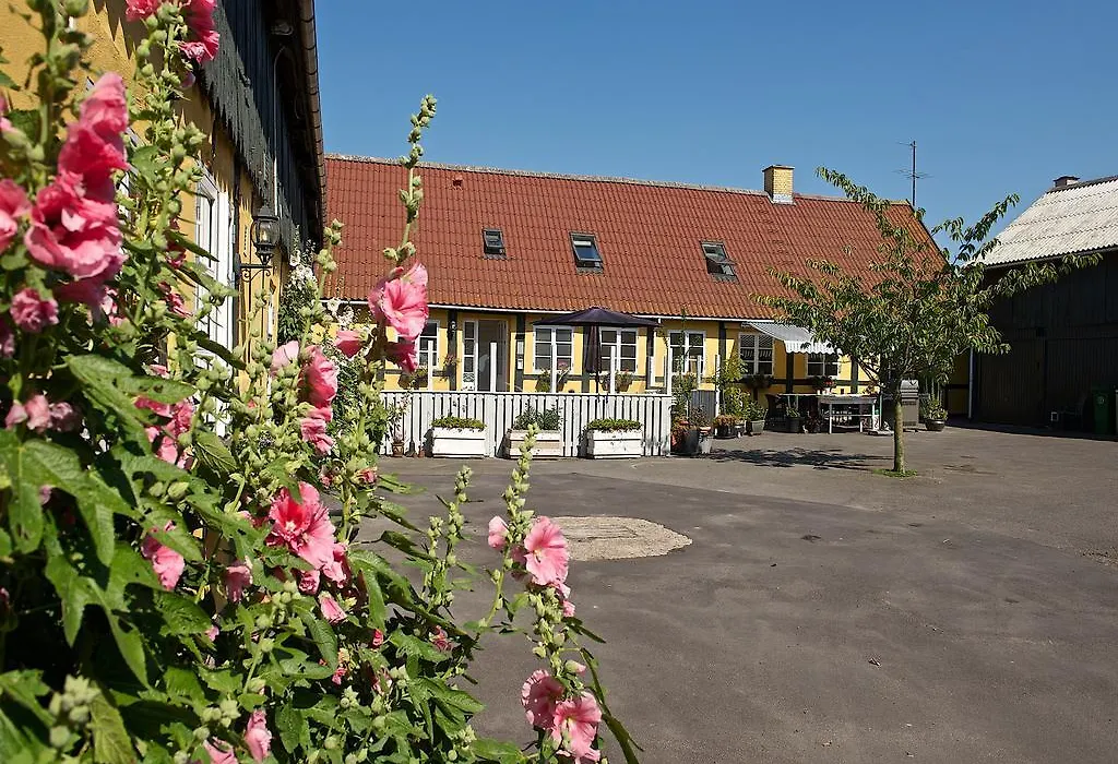 Myregaard B & B And Apartments-1